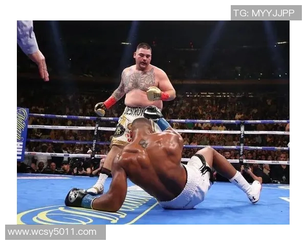 何文冲与于海涛的巅峰对决谁将成为新一代的拳坛传奇